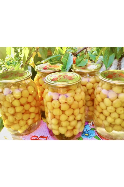 Черешня домашня Дачниця консервація